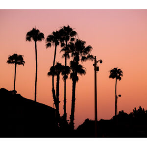 Santa Monica Sunset