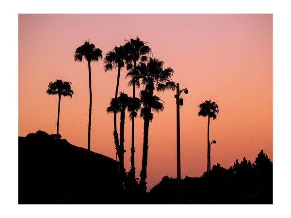 Santa Monica Sunset
