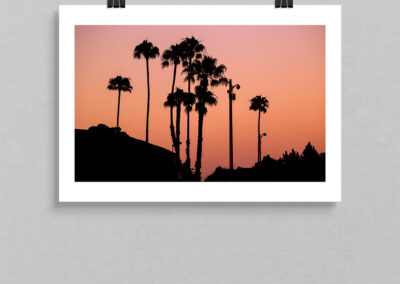 Palms of LA